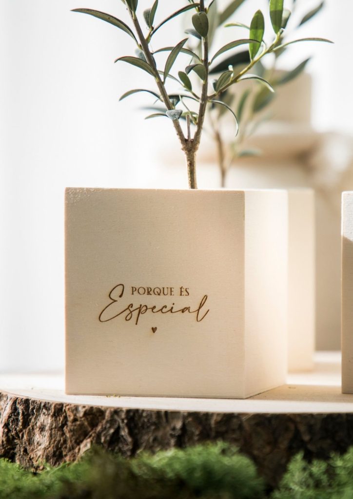 Oliveirinha em vaso de madeira personalizada com o texto " Porque és especial"