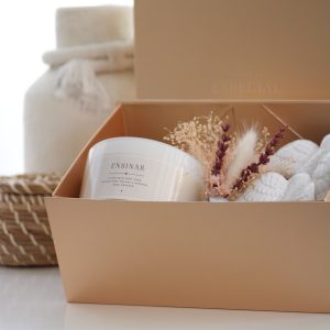 Kit Andorinhas Lux